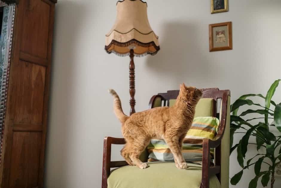 Chat passant devant un détecteur de mouvement dans un salon de maison européenne, cause fréquente de fausse alerte d’alarme